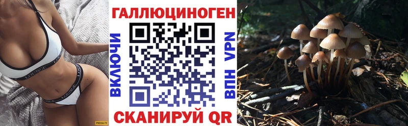 ссылка на мегу   Сухиничи  Галлюциногенные грибы Psilocybe  сколько стоит 